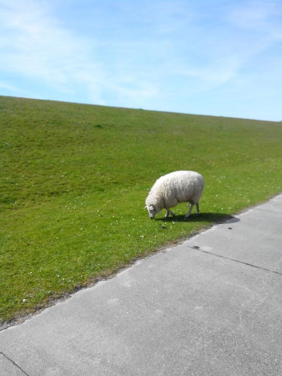 Auf Dem Alten Deich Sande Bagian luar foto